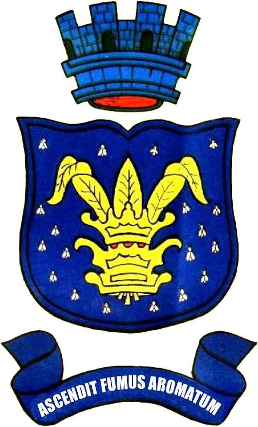 Câmara Municipal de Muritiba - BA